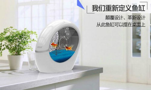 稀品匯 科技與新概念的互聯(lián)網(wǎng)營(yíng)銷先鋒，引領(lǐng)布加桌寶線上銷售新潮流